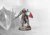 Conquest: Hundred Kingdoms Seasoned Veteran