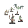 Warhammer Underworlds: Death Warbands Morbid Minions