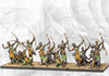 Conquest: Sorcerer Kings Dhanur Disciples