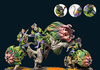 Conquest: Weaver Courts Fianna Cavalry (Dual Kit)