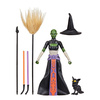 Star Wars Black Series Dathomir Witch (Halloween Edition)