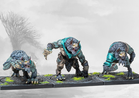 Conquest: Nords Werewargs